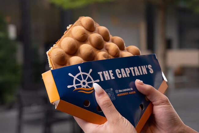 THE CAPTAIN'S