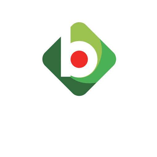 Business Virtual Assistant B E R I