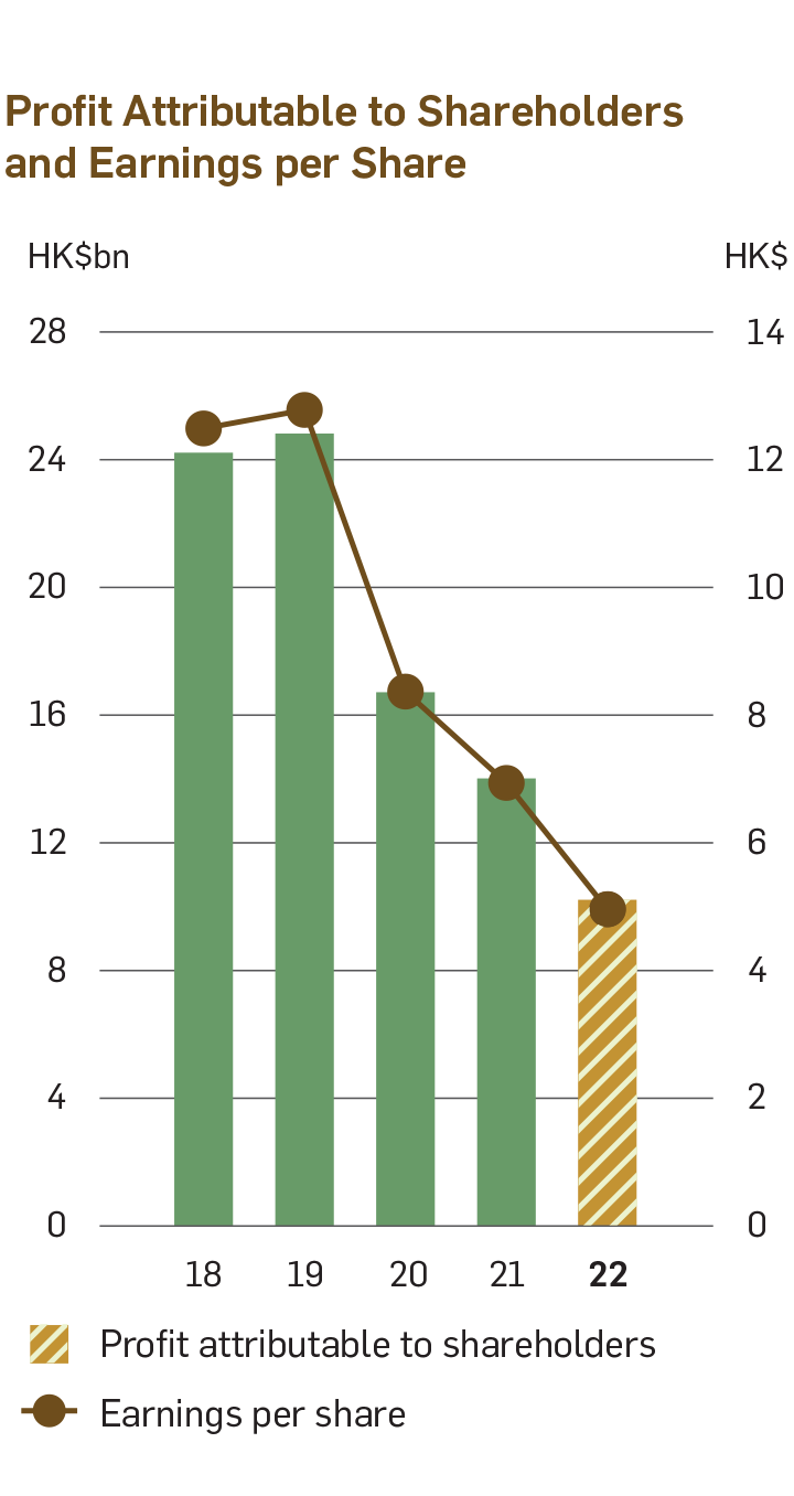 Chart of Profit Attributable to Shareholders and Earnings per Share