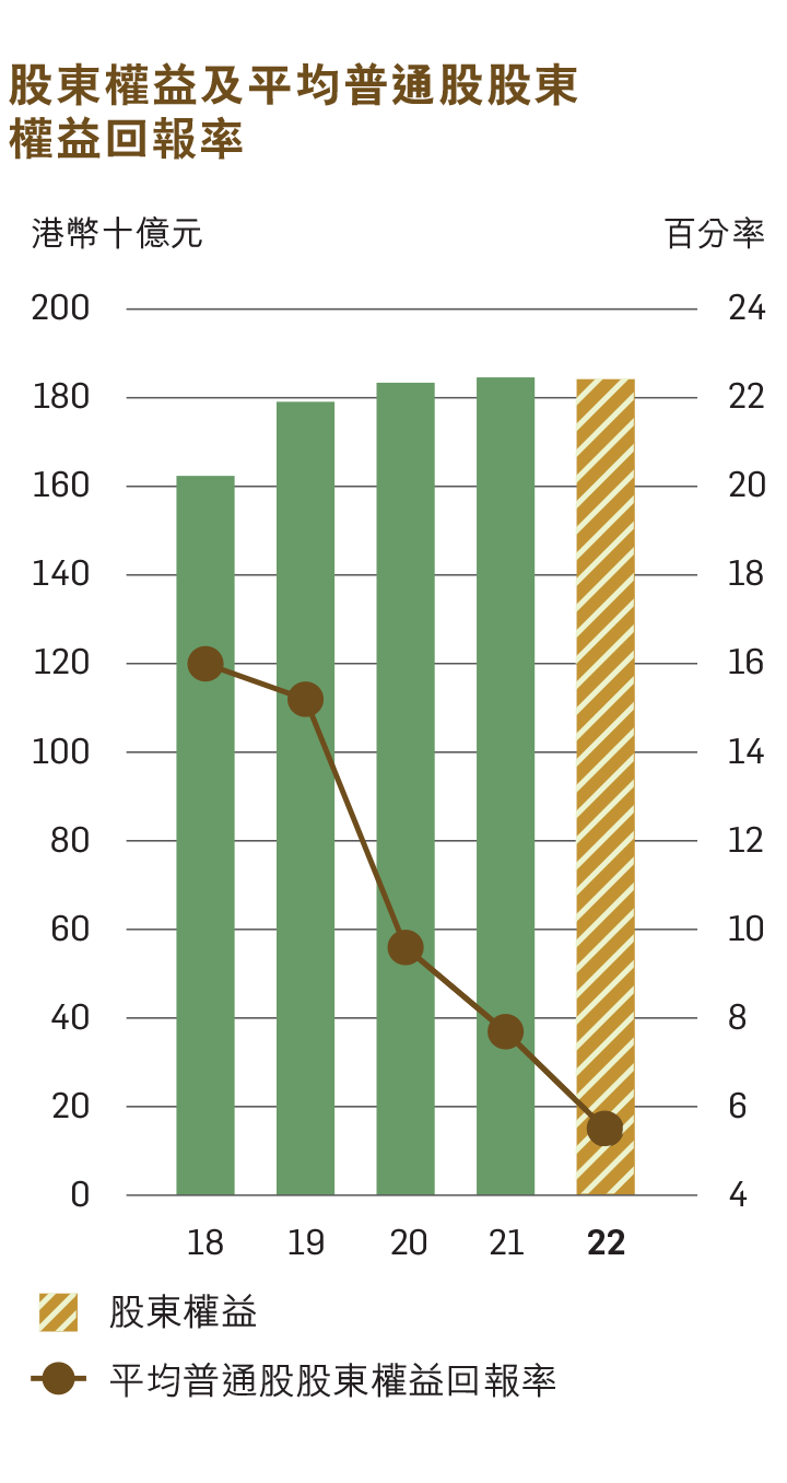 股東權益及平均普通股東權益回報率圖表